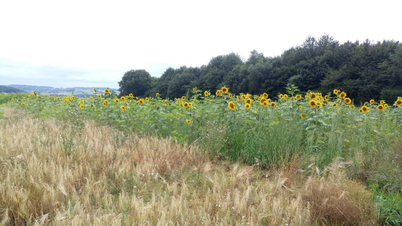 Petit Bonheur Βίλα Oudenaarde Εξωτερικό φωτογραφία